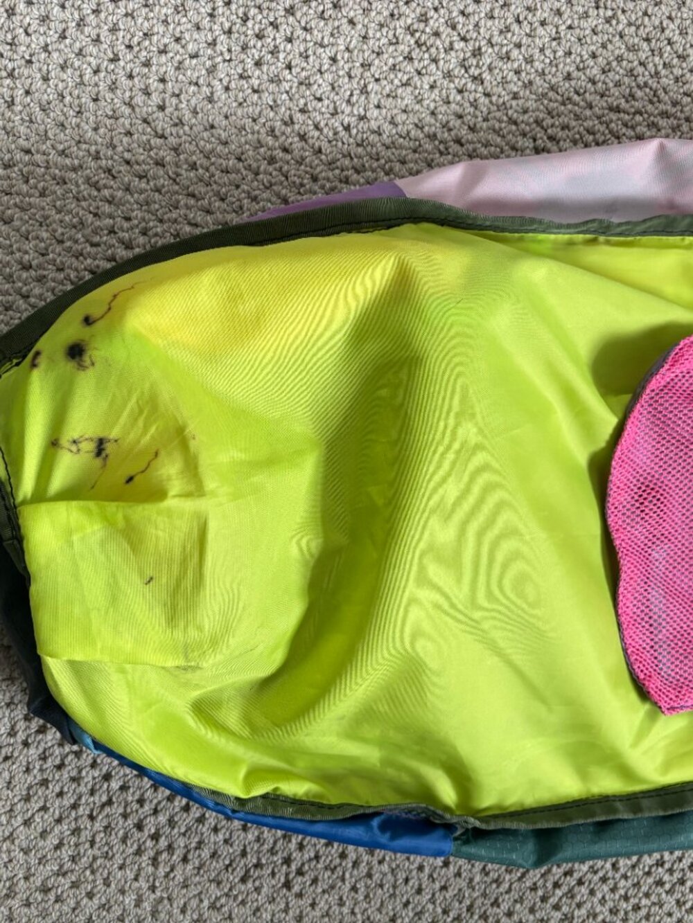 Cotopaxi Luzon Backpack, Del Dia - Picture 7 of 9
